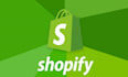 support your shopify store setup
