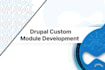 develop a professional custom drupal module for your specific requirements
