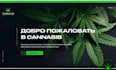 cbd shopify store cbd website cannabis website marijuana website shopify store