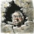 create political and editorial cartoons
