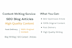 seo blog writing and article writing