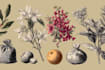create detailed vintage botanical illustrations in antique style