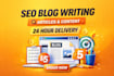 write SEO blog posts, articles