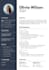 make cv professionally with elite aesthetics