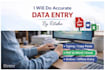 do accurate manual data entry work fast