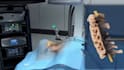 create professional 3d medical animation for orthopedic surgery and anatomy