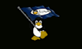 fix linux server issues and setup your server