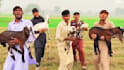 wish happy birthday video africa or happy birthday video
