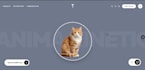 convert figma to react using tailwind CSS with full responsiveness