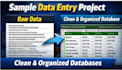 do professional data entry,web research and copypaste work