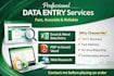 do high quality and accurate data entry works