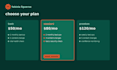 provide monthly wordpress website maintenance and support