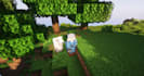 hi I will play minecraft with you