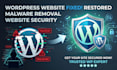 fix hacked wordpress website, wordpress malware removal, website security