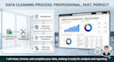 do professional data cleaning and deduplication in 24h