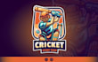 do amazing wonderful cricket, baseball logo design
