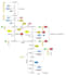 make research grade biochemistry and metabolic illustrations