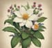design a botanical illustration