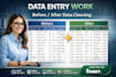 do accurate data entry, excel data cleanup and copy paste