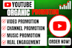 do organic youtube video promotion for channel