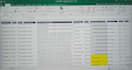 provide high quality excel data entry and copypaste services