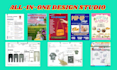 design flyer, resume, powerpoint and documents expert