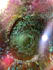 bring harmony wholeness renewal