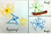 handwrite neat study notes and assignments