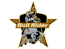 design a professinal bull rider logo