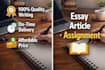 write professional essays, articles and assignments