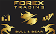 code pocket option automated script, indicator and strategy for options