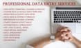 do data entry copy paste excel and fix excel formulas vba macro pdf to excel
