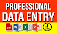 do data entry, logo design, PDF conversation