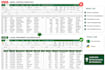 clean excel data, remove duplicates and format professionally
