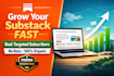 do substack promotion increase targeted substack subscribers substack newsletter