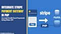 do stripe integration, api integration, payment gateway, paypal, webhook setup