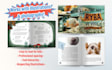 design professional childrens book layouts