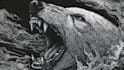 draw dark art illustration with engraving style