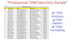 accurate data entry and data cleaning excel and spreadsheet