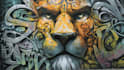 create graffiti pop art designs and murals