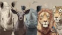 create realistic vector animal and birds