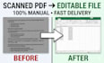 convert scanned PDF to editable word or excel manually