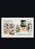 design canva social media posts professionally