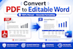 convert PDF to word manually and accurately