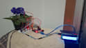 program your arduino or esp32 project