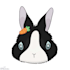 create a custom pet illustration for you