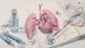 do medical and scientific illustrations