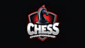 design outstanding chess gaming logo with express delivery