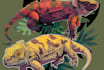 draw detail animal illustration