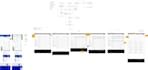create wireframes or low fidelity designs of your app or website